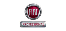 Fiat professional approved